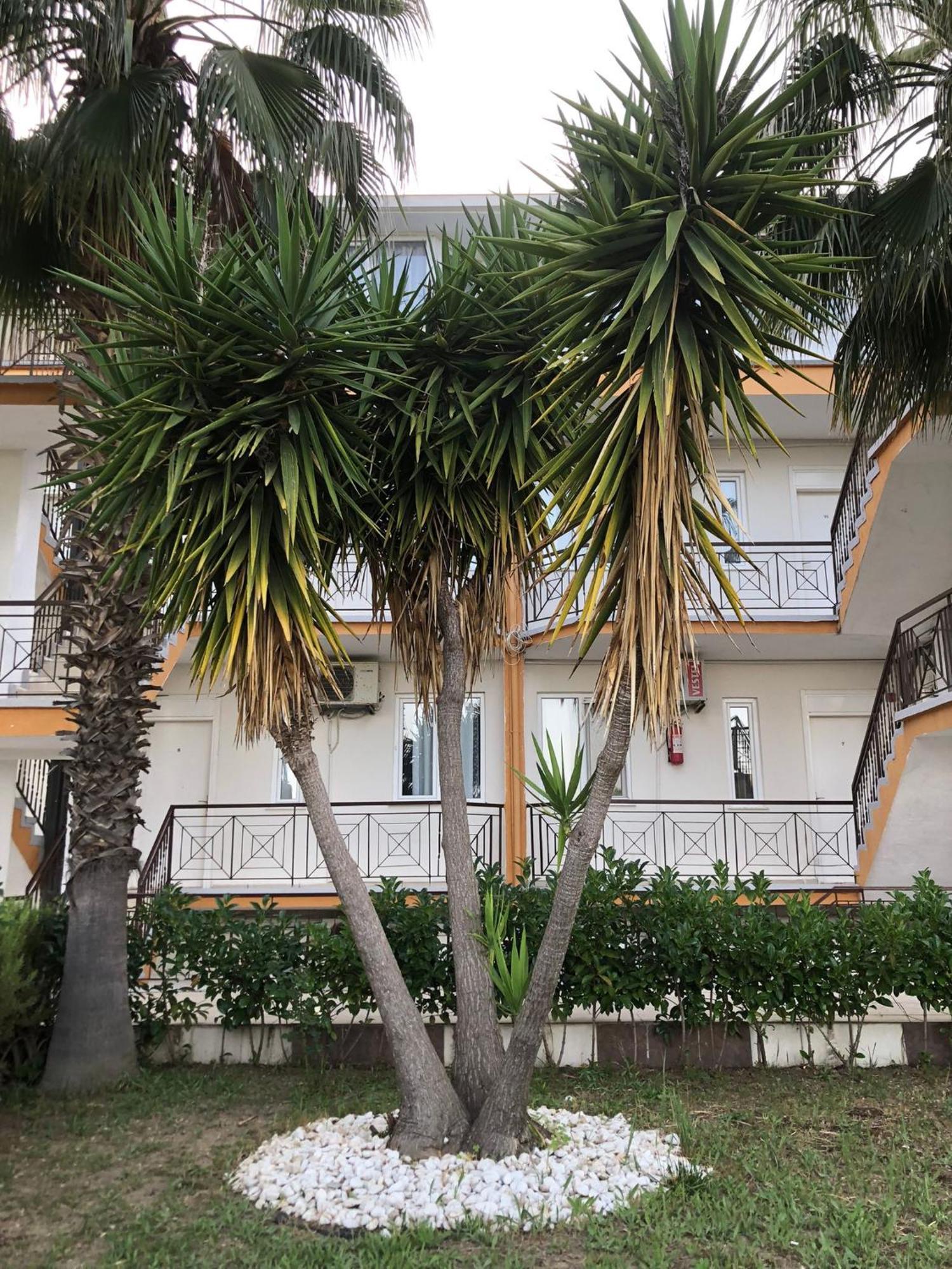 Mına Grand Hotel Kemer Exterior foto